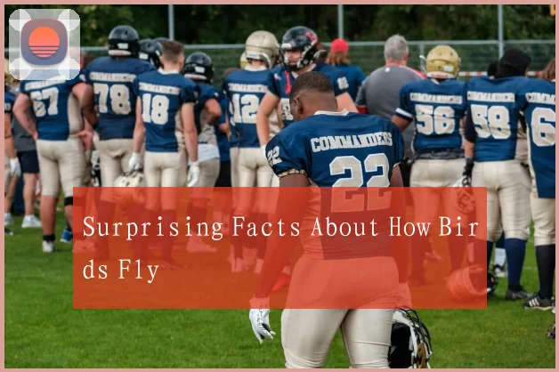 Surprising Facts About How Birds Fly