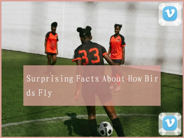 Surprising Facts About How Birds Fly