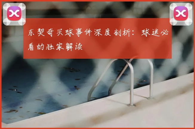 东契奇买球事件深度剖析：球迷必看的独家解读
